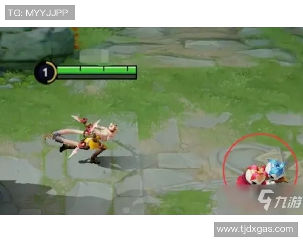 电竞数据分析师杨敏独家揭示王者荣耀游戏策略与心得分享